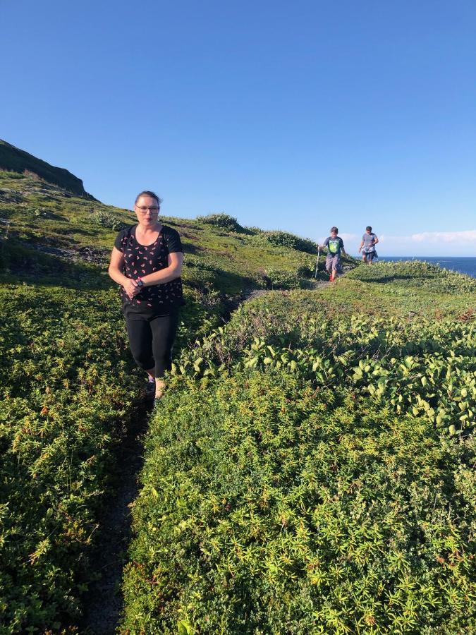 Valhalla Near L'Anse Aux Meadows Kültér fotó